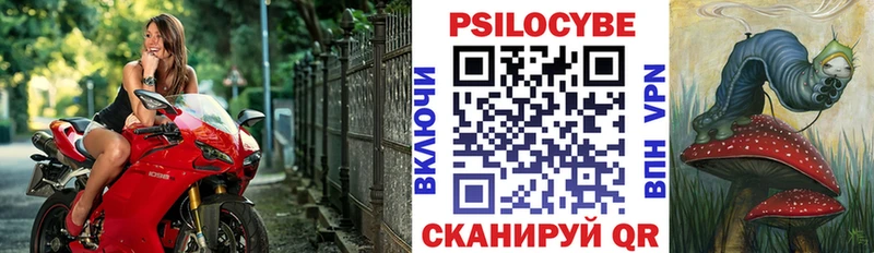 даркнет сайт Валуйки Псилоцибиновые грибы GOLDEN TEACHER