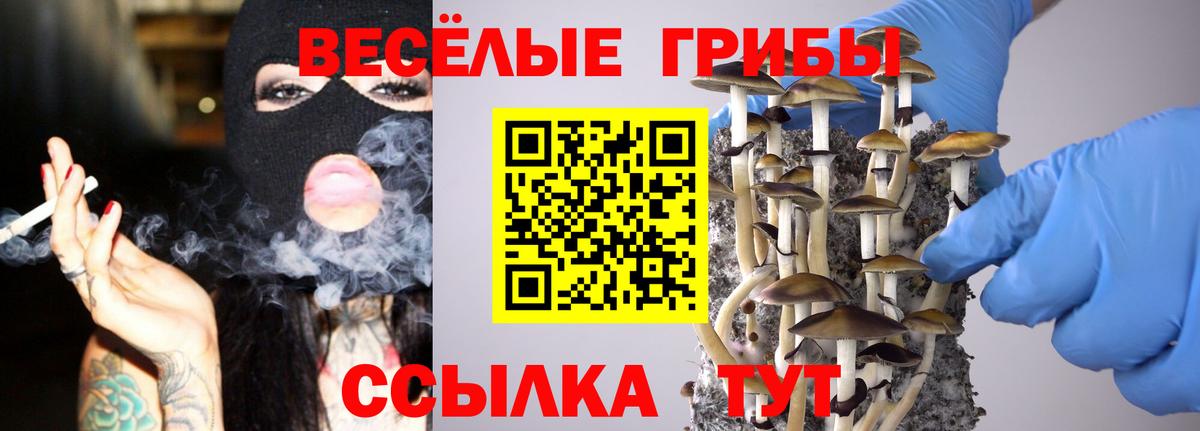 Валуйки  Псилоцибиновые грибы мухоморы  Вход с VPN  Галлюциногенные грибы мухоморы 